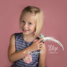 elise-117 koekendoos_